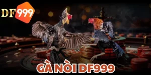 ga noi df999